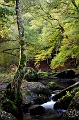 paysage 25_10_09n01